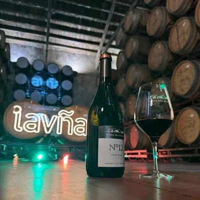Experiencia enoturística "Vino y Fuego"